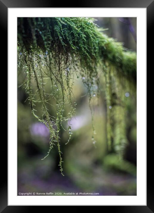 Hanging Moss Framed Mounted Print by Ronnie Reffin