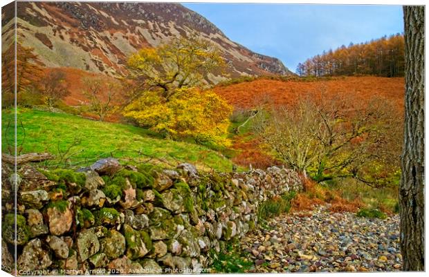 Autumn Walk in the Lake District Canvas Print by Martyn Arnold