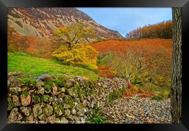 Autumn Walk in the Lake District Framed Print by Martyn Arnold