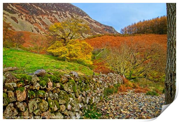 Autumn Walk in the Lake District Print by Martyn Arnold