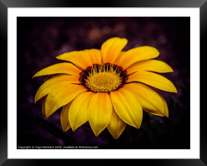 Yellow dream Framed Mounted Print by Ingo Menhard