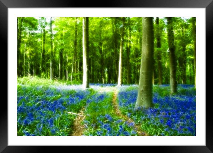 Bluebells at Westwoods Fractals Framed Mounted Print by David French