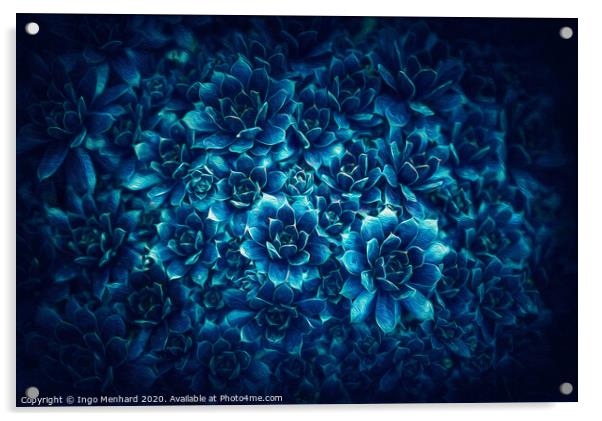 Bluetiful Acrylic by Ingo Menhard
