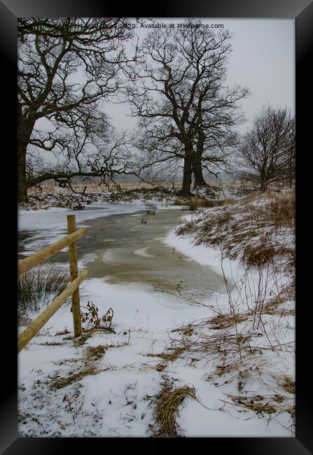 Frozen Brook Framed Print by Robert Maddocks