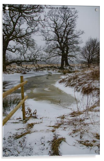 Frozen Brook Acrylic by Robert Maddocks