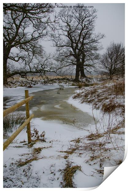Frozen Brook Print by Robert Maddocks
