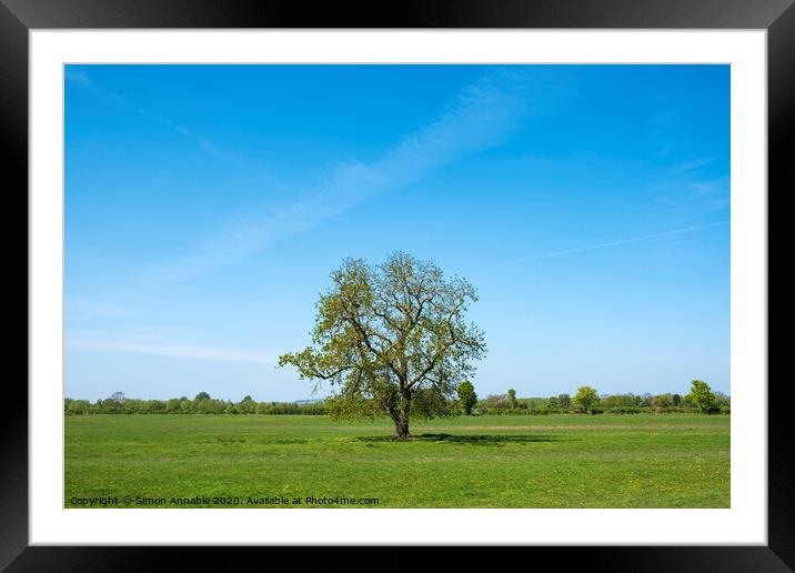 Lone Tree Framed Mounted Print by Simon Annable