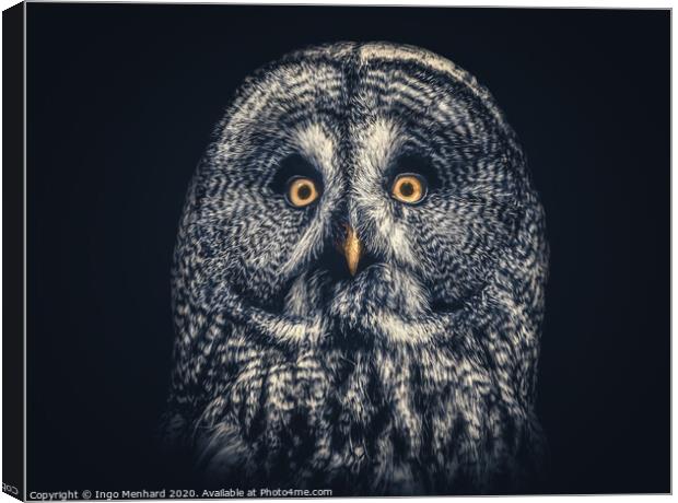 Owl Joe Canvas Print by Ingo Menhard