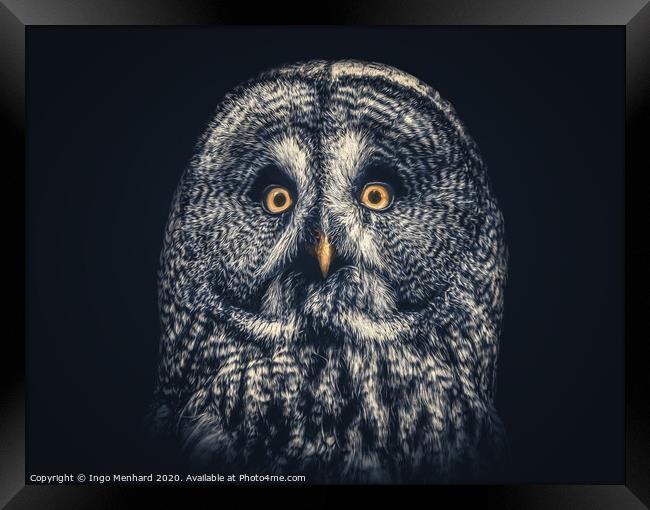 Owl Joe Framed Print by Ingo Menhard