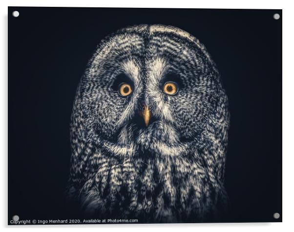 Owl Joe Acrylic by Ingo Menhard