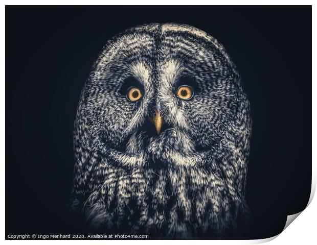 Owl Joe Print by Ingo Menhard