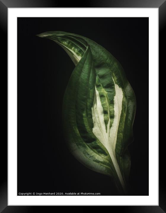 A simple but beautiful looking leaf artwork. Framed Mounted Print by Ingo Menhard