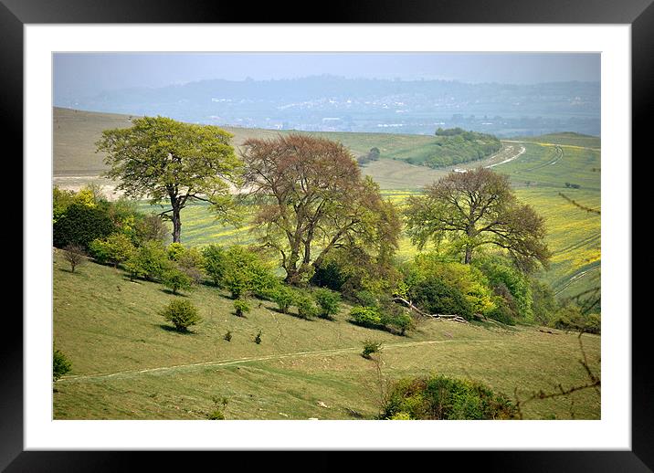 Springtime at Ivinghoe Beacon Framed Mounted Print by graham young