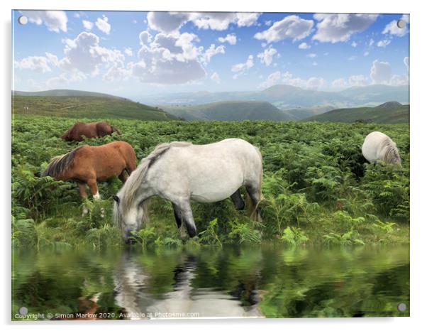 Wild Horses on Long Mynd Shropshire Acrylic by Simon Marlow