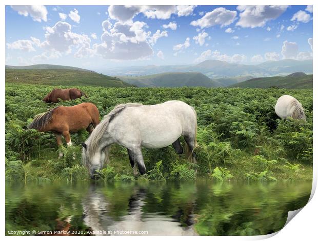 Wild Horses on Long Mynd Shropshire Print by Simon Marlow