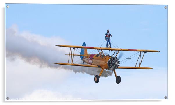 Wing Walking on a classic plane Acrylic by Simon Marlow