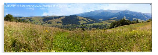 Beautiful panorama of Carpathian mountains in summer against the background of green grass, blue sky and light white clouds. Acrylic by Sergii Petruk