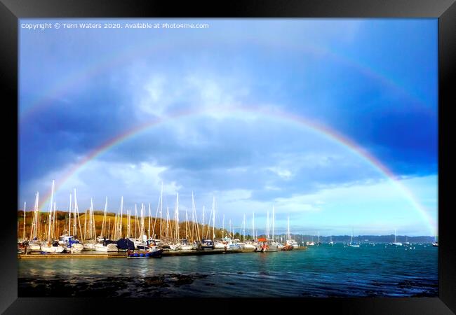 Mylor Harbour Rainbow Framed Print by Terri Waters
