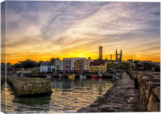 St Andrews Harbour after sunset Canvas Print by Corinne Mills