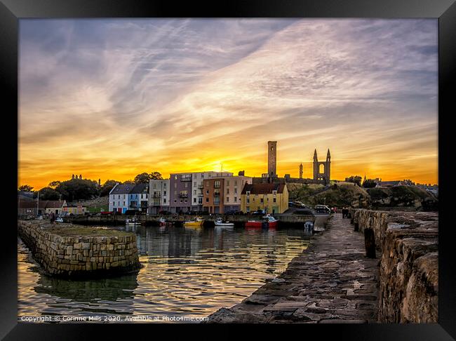 St Andrews Harbour after sunset Framed Print by Corinne Mills
