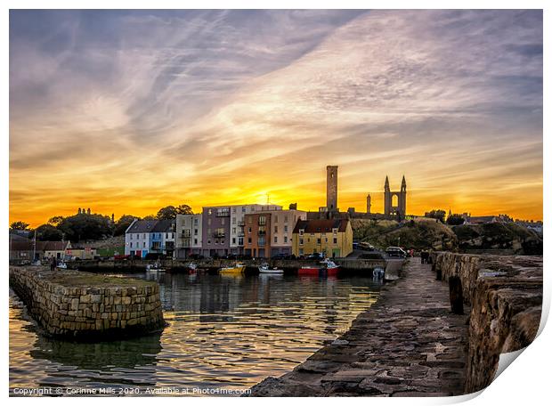 St Andrews Harbour after sunset Print by Corinne Mills