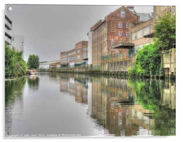 River Wensum, Norwich  Acrylic by Sally Lloyd