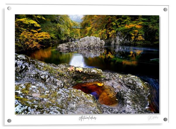 Autumnal colour. Acrylic by JC studios LRPS ARPS