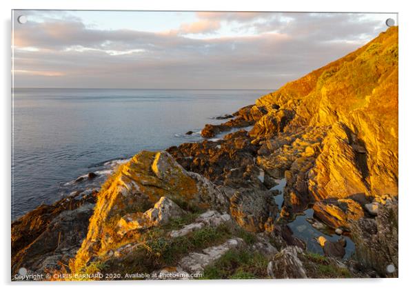 Early morning light on the coast at Polperro Cornwall Acrylic by CHRIS BARNARD