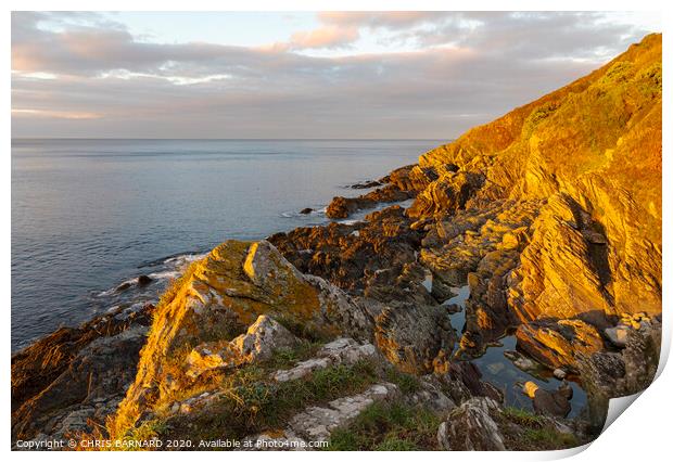 Early morning light on the coast at Polperro Cornwall Print by CHRIS BARNARD
