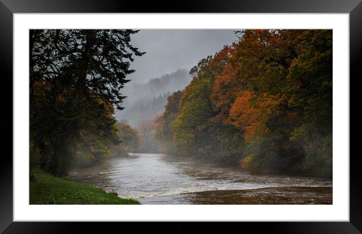 The Tamar River  in Autumn Framed Mounted Print by Maggie McCall