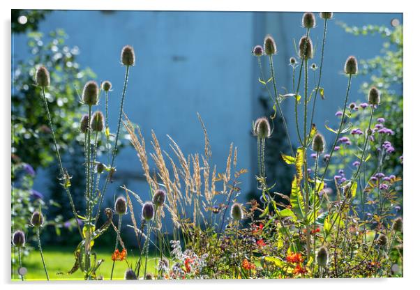 Walled garden, Cumbria Acrylic by Colin Allen