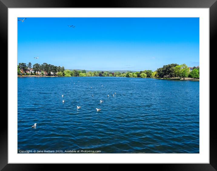Looking across the Lake Framed Mounted Print by Jane Metters
