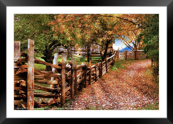 Autumn Walkway Framed Mounted Print by Elaine Manley