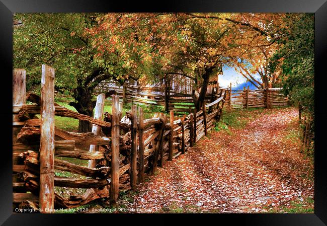 Autumn Walkway Framed Print by Elaine Manley