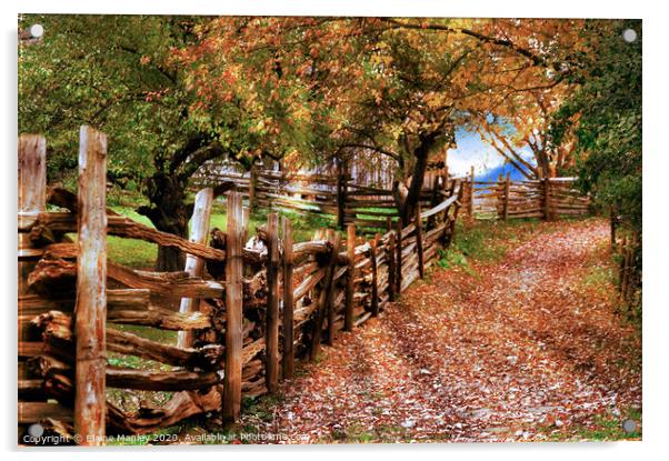 Autumn Walkway Acrylic by Elaine Manley