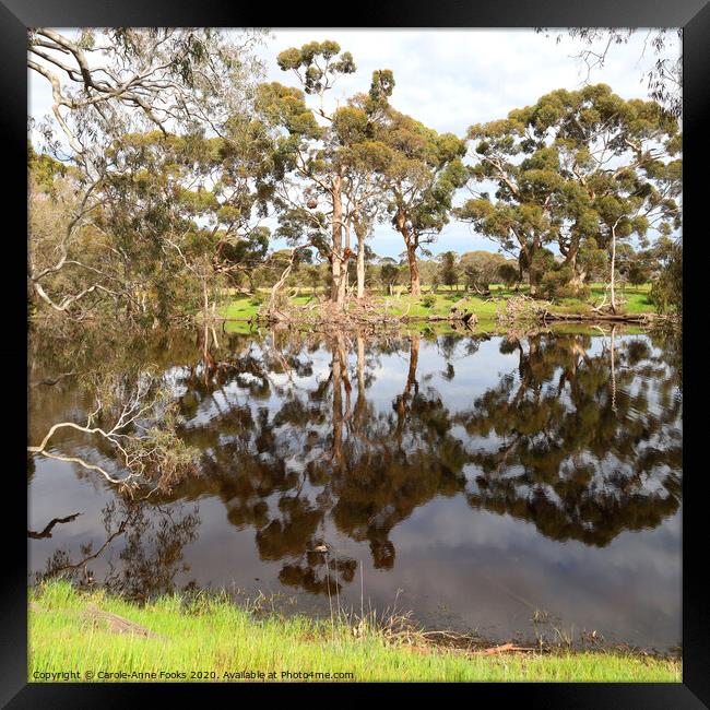 Duck Lagoon Framed Print by Carole-Anne Fooks