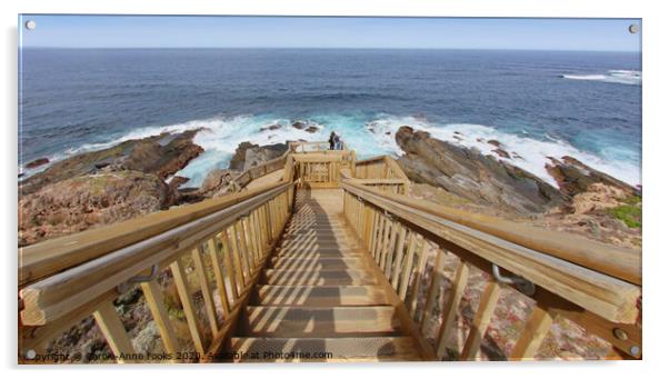 The Boardwalk and Steps at Cape du Couedic Acrylic by Carole-Anne Fooks