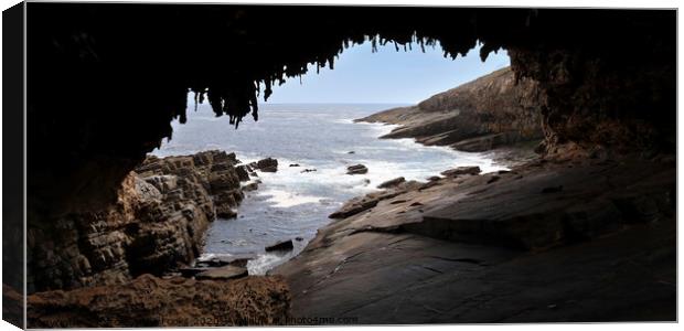 Admirals Arch at Cape du Couedic Canvas Print by Carole-Anne Fooks
