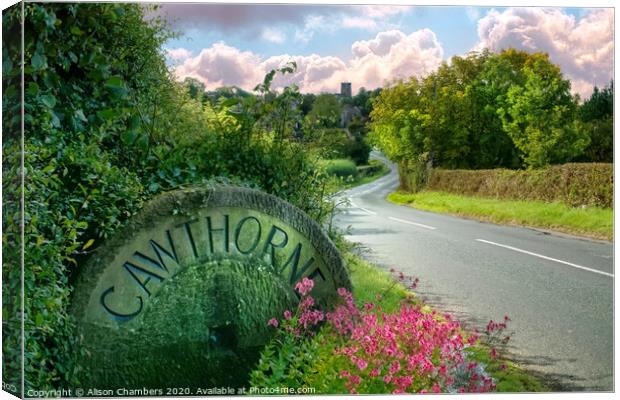 Cawthorne Canvas Print by Alison Chambers