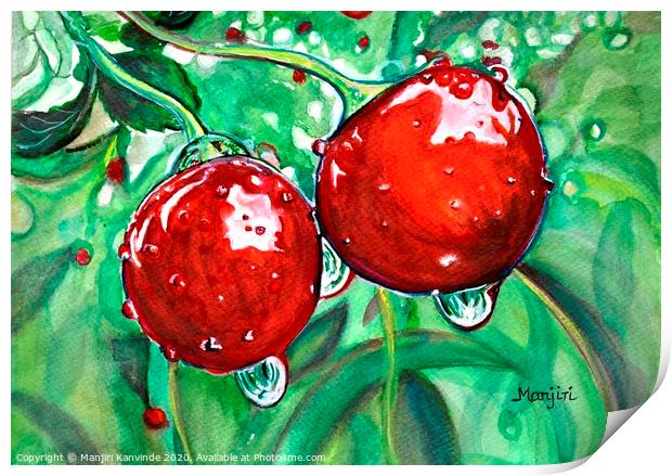 Red ripe Cherries in the orchard watercolor painti Print by Manjiri Kanvinde