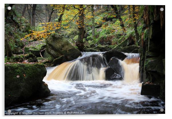Autumn waterfall in Padley Gorge Acrylic by Stephen Morrison