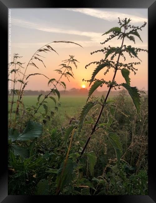 Frosty summers sunrise  Framed Print by Jade Hughes