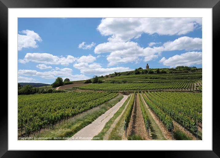 Beautiful vineyards near Wachenheim, Germany Framed Mounted Print by Lensw0rld 