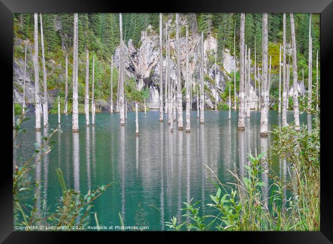 Submerged tree trunks in Lake Kaindy in Kazakhstan Framed Print by Lensw0rld 