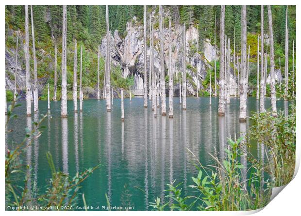Submerged tree trunks in Lake Kaindy in Kazakhstan Print by Lensw0rld 