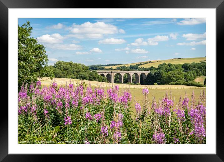 Roxburgh Railway Viaduct, Scotland Framed Mounted Print by Dave Collins