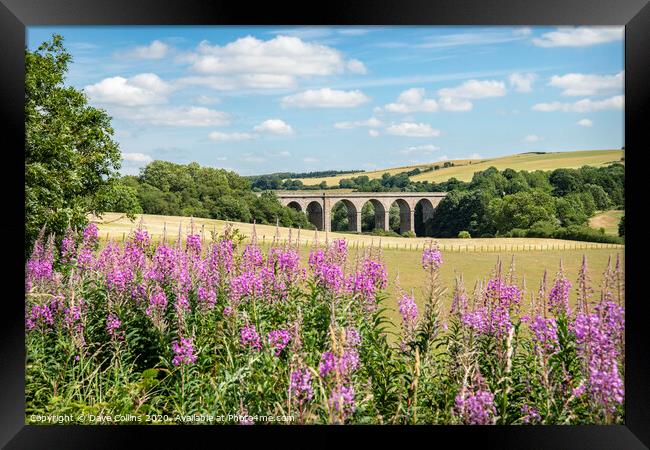 Roxburgh Railway Viaduct, Scotland Framed Print by Dave Collins