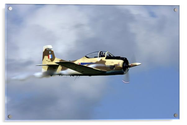 T28 Fennec Acrylic by Tony Bates