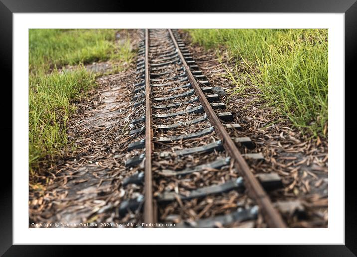 Old miniature train tracks at sunset. Framed Mounted Print by Joaquin Corbalan