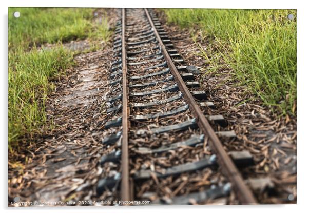 Old miniature train tracks at sunset. Acrylic by Joaquin Corbalan